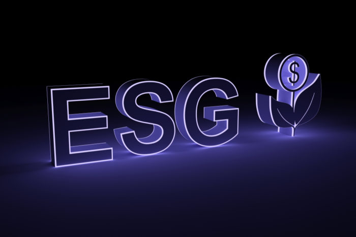 The Impact of ESG Scores on Asset Prices